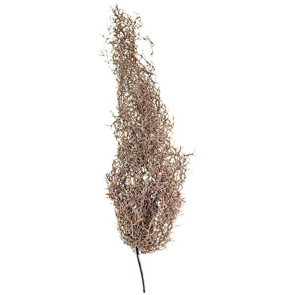 A brown artificial moss stem from Kalalou on a white background.