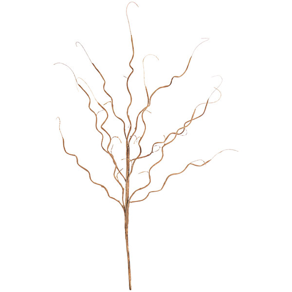 A brown tree branch with curly branches.