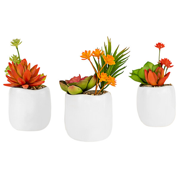Three white ceramic pots with artificial succulents.