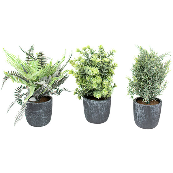 A group of potted Kalalou artificial ferns in grey pots.
