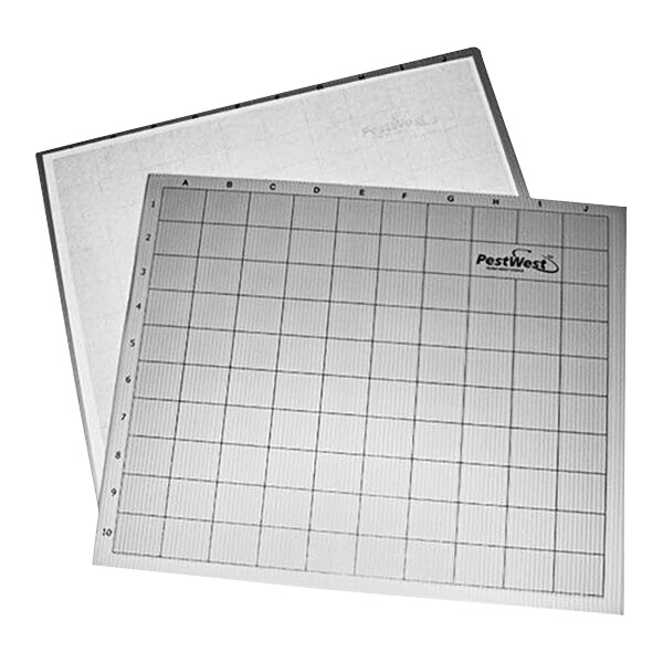 A gray PestWest glue board with a grid on it.