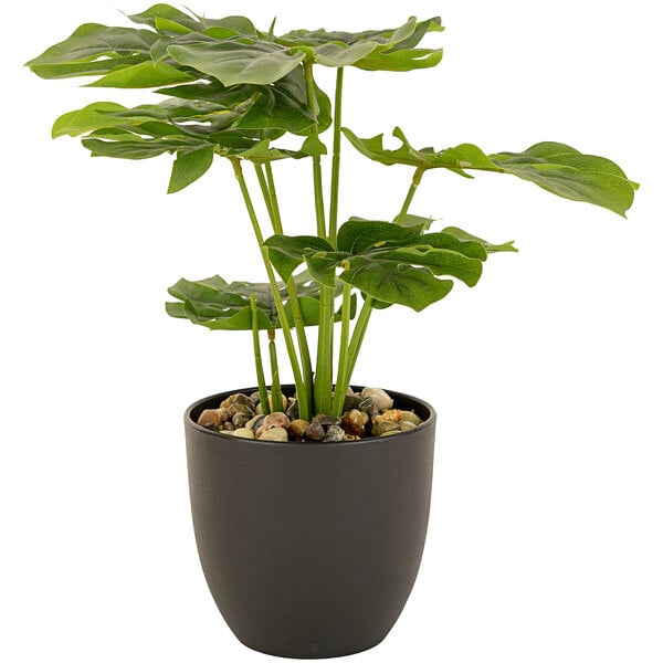 A Kalalou small artificial monstera plant in a black plastic pot with small rocks.