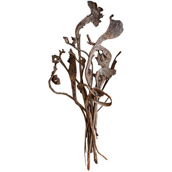 A bunch of brown dried Natraj stems.