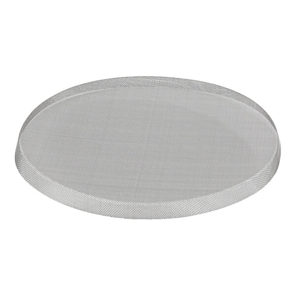 A close-up of a round stainless steel sieve screen with a white background.