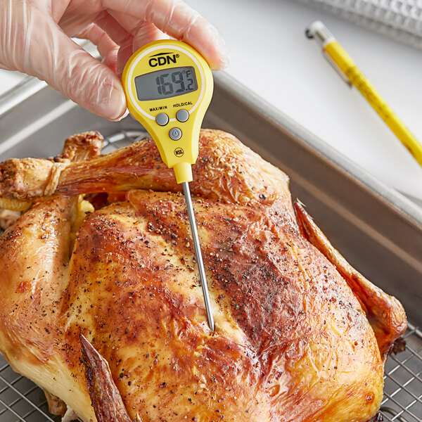 A hand holding a yellow CDN digital pocket probe thermometer over a meat.