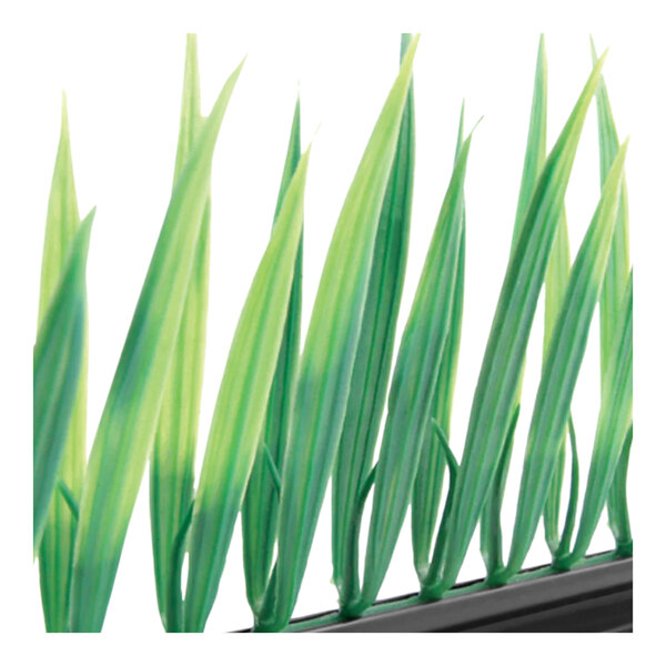 A close-up of Dalebrook artificial green melamine grass in a black container.