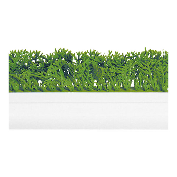 A Dalebrook artificial green melamine parsley divider in a white container.
