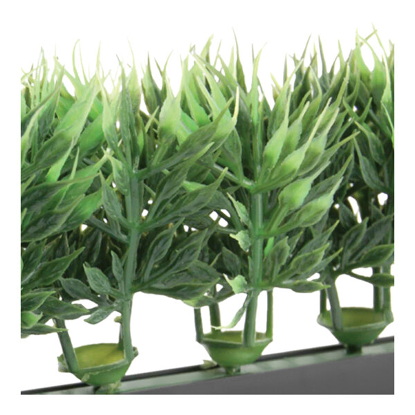 A Dalebrook artificial green melamine spruce divider with a black base containing a group of artificial plants.