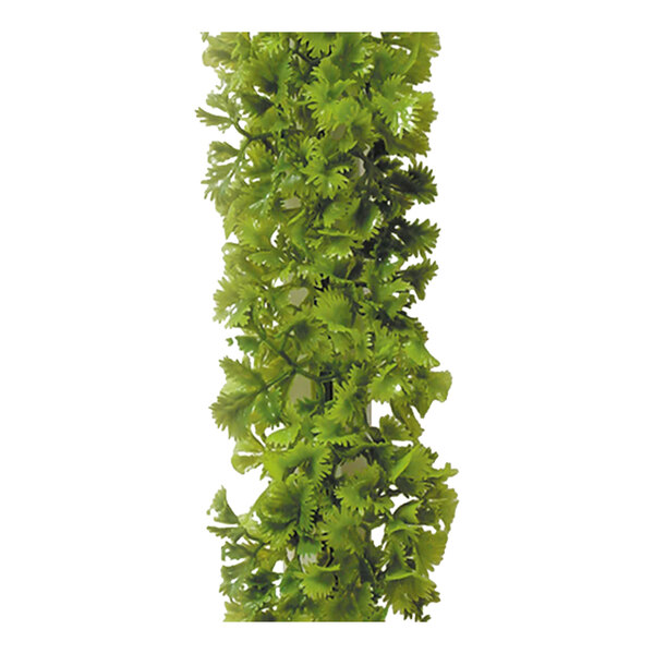 A Dalebrook light green melamine parsley divider with a white base with a plant on top of it.