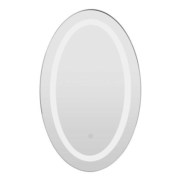 A white oval mirror with a black border and a button.