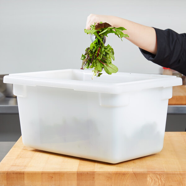 A person holding a white Carlisle food storage box with a green leafy plant in it.