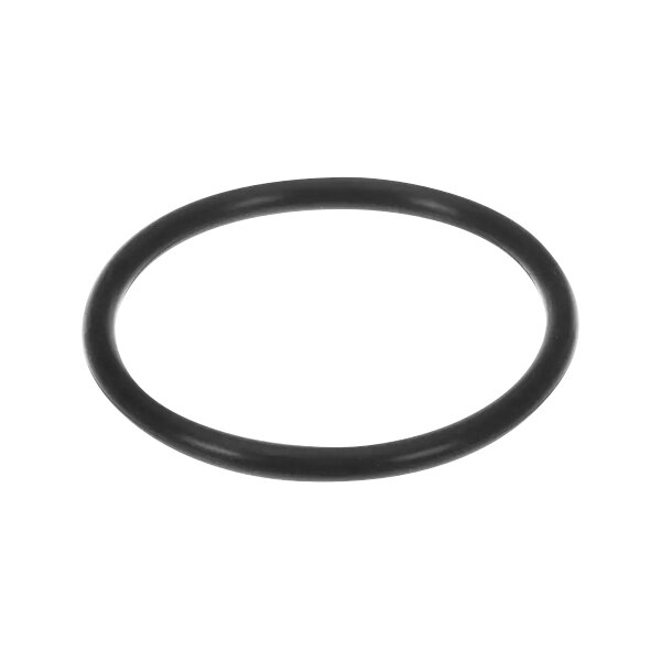 A black round gasket for Alto-Shaam AR-7HT Series.