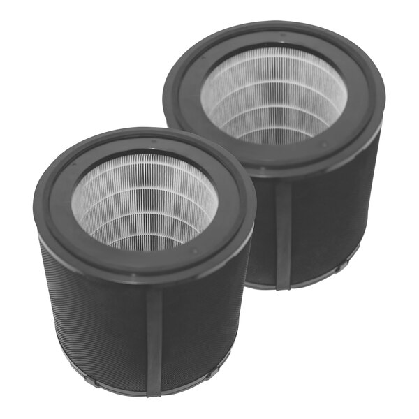 Two black Fellowes Array 3-in-1 replacement filters.