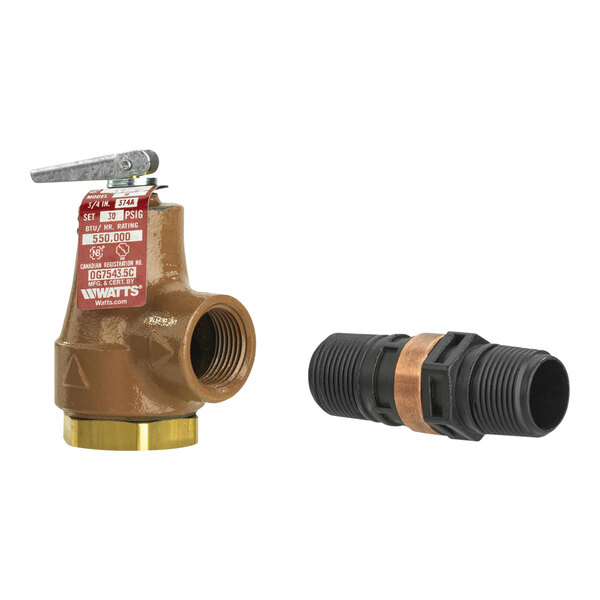 Watts F358553 374A Series 3/4" Water Pressure Relief Valve, 30 PSI