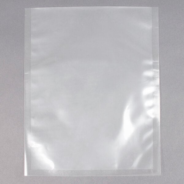 A clear plastic ARY VacMaster vacuum packaging bag on a white background.