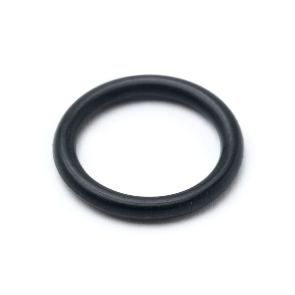 A black T&S rubber O-ring on a white background.