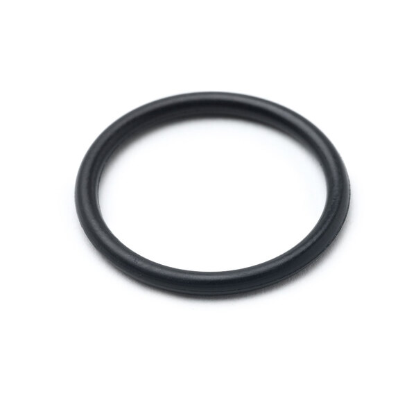 A black T&S NSF Listed O-Ring.