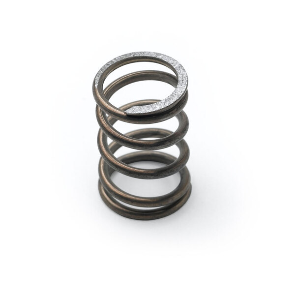 A T&S metal spring with a black ring on one end.