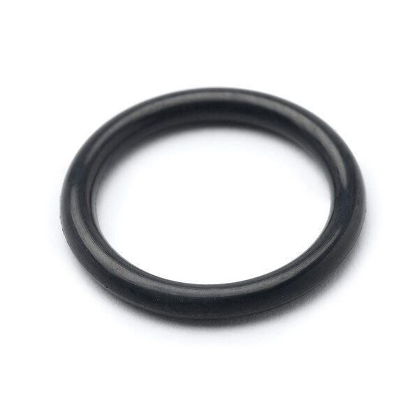 A black round T&S knuckle joint o-ring on a white surface.