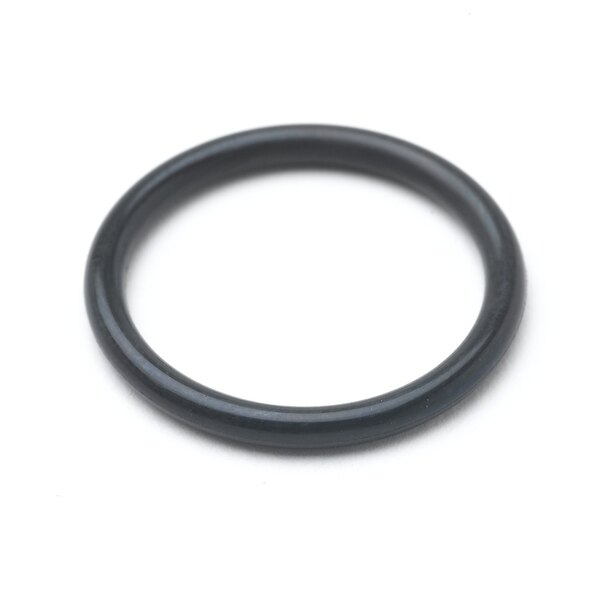 A black round T&S nitrile o-ring on a white surface.