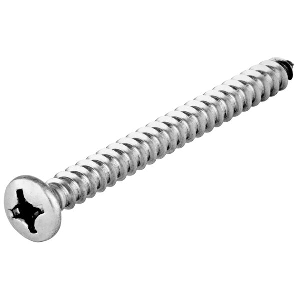 A T&S metal screw with a metal head.