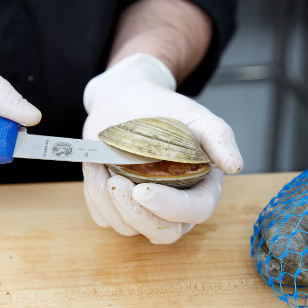 A person in white gloves holding a clam shell and cutting it with a Victorinox clam knife.