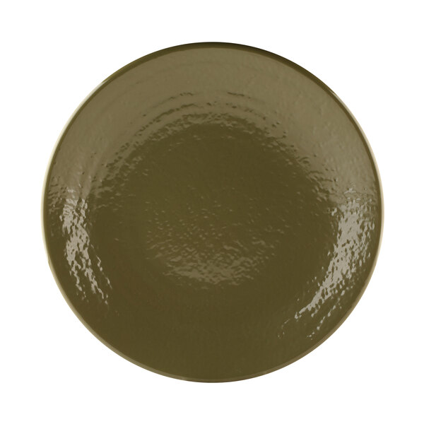 A close-up of an Elite Global Solutions Lizard-colored melamine plate with a white background and dark green rim.