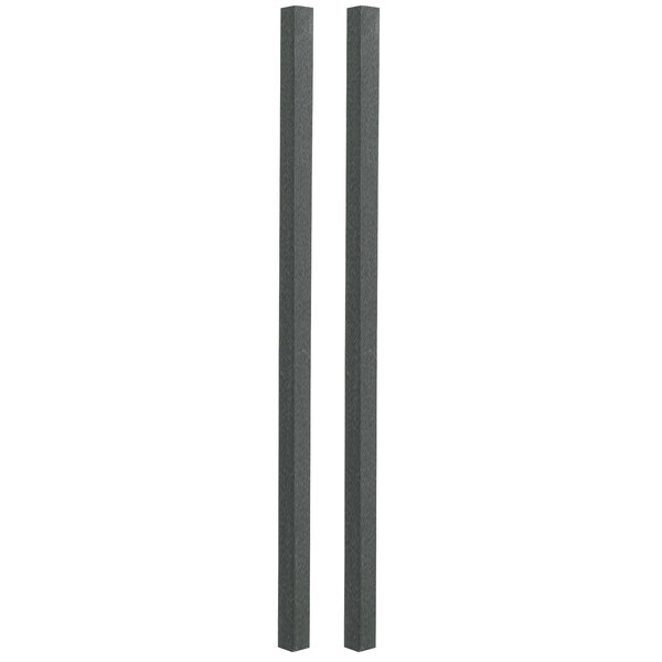A pair of black metal poles with black lines on a white background.