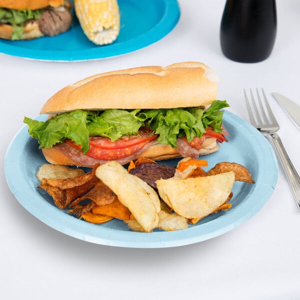 A sandwich and potato chips on a pastel blue Creative Converting paper plate.
