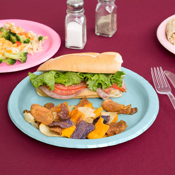 A sandwich on a Creative Converting pastel blue paper plate.