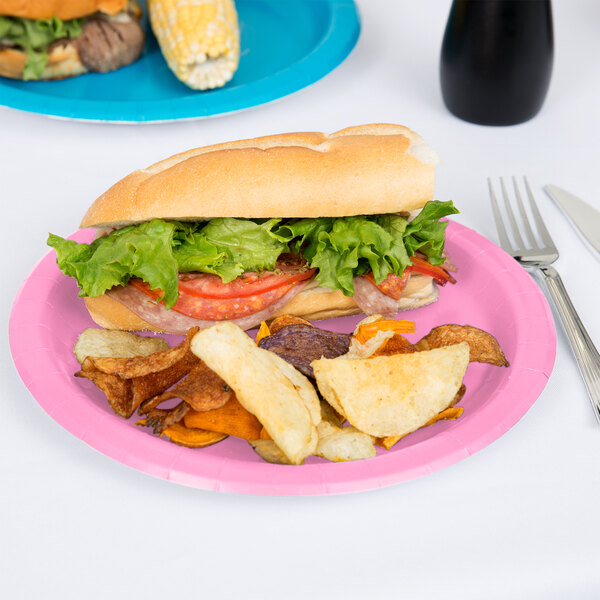 A sandwich and chips on a Creative Converting candy pink paper plate.