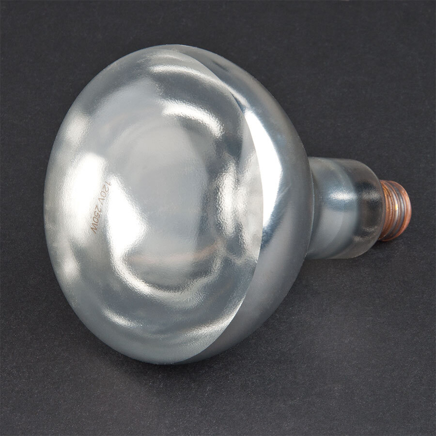 250 Watt Coated Infrared Heat Lamp Bulb