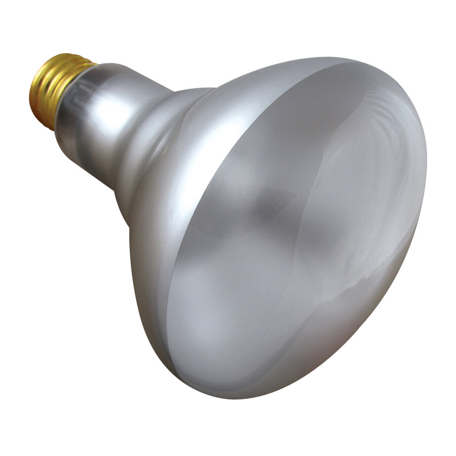 65 Watt Indoor Flood Lamp Light Bulb 130V (BR30 FL)