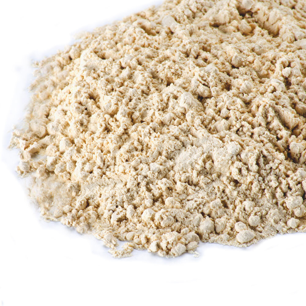 Regal Bulk Garlic Powder 25 lbs. / Case