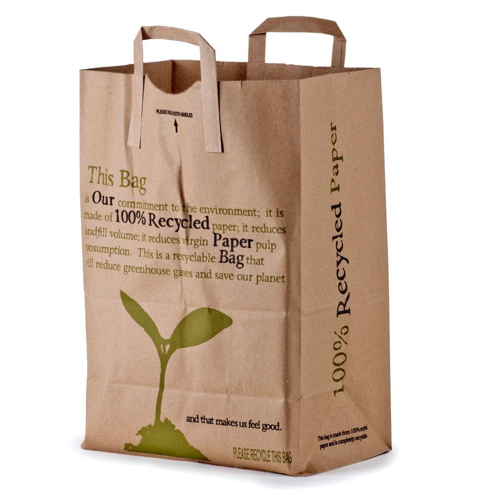 Brown Printed 100 Recycled Shopping Bag with Handles 12" x 7" x 17