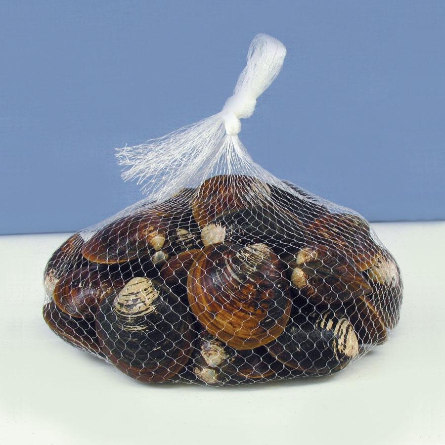 Royal Paper RMB1000CL 24" Clear Plastic Mesh Seafood Bag 1000/Case