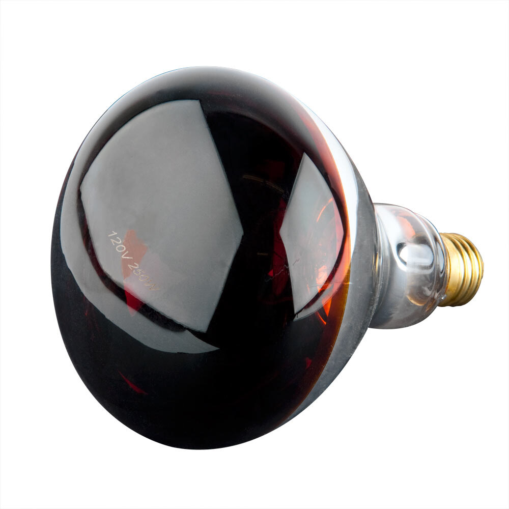 Lavex Janitorial 250 Watt Red Infrared Light Bulb Heat Lamp