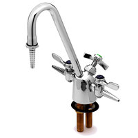 T&S BL-6000-02 Combination Gas and Water Lab Faucet