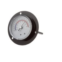 Randell HD THR9901 Thermometer