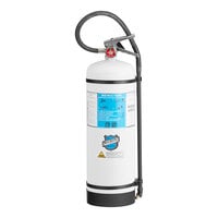 Buckeye 2.5 Gallon Water Mist AC Fire Extinguisher - Rechargeable Untagged - UL Rating 2-A:C