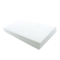 Giles 60810 15 1/2" x 21 3/8" Filter Paper for GEF and GGF Series - 100/Pack
