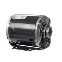 Multiplex 5009598 Pump Motor