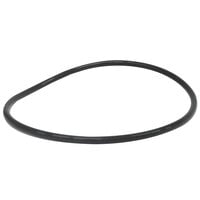 Everpure EV307119 4 5/16" Replacement O-Ring for 10" Filter Housing