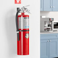 Buckeye 10 lb. ABC Dry Chemical Fire Extinguisher - Rechargeable Untagged with Wall Mount - UL Rating 4-A:80-B:C