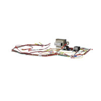 Groen 123823 Electrical Component Assy