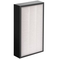 AeraMax 9544301 PRO AM II 1 3/4" HEPA Air Filter with Antimicrobial Treatment
