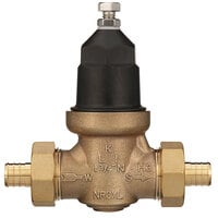 Zurn Elkay 34-NR3XLDUPEX 3/4" Double Union Water Pressure Reducing Valve with Integral By-Pass Check Valve, Strainer, and Male Barbed Connection Tailpiece