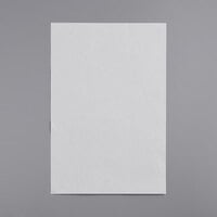 16 3/8 inch x 24 3/8 inch Flat Style Filter Paper - 100/Case