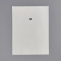 Anets P9315-80 Equivalent 12 1/4 inch x 17 inch Envelope Style Filter Paper - 100/Case