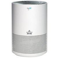 Bissell Air Purifiers